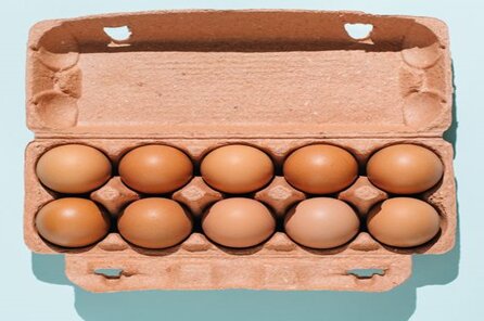 هر آنچه که درباره زرده تخم مرغ شنیده‌اید فراموش کنید