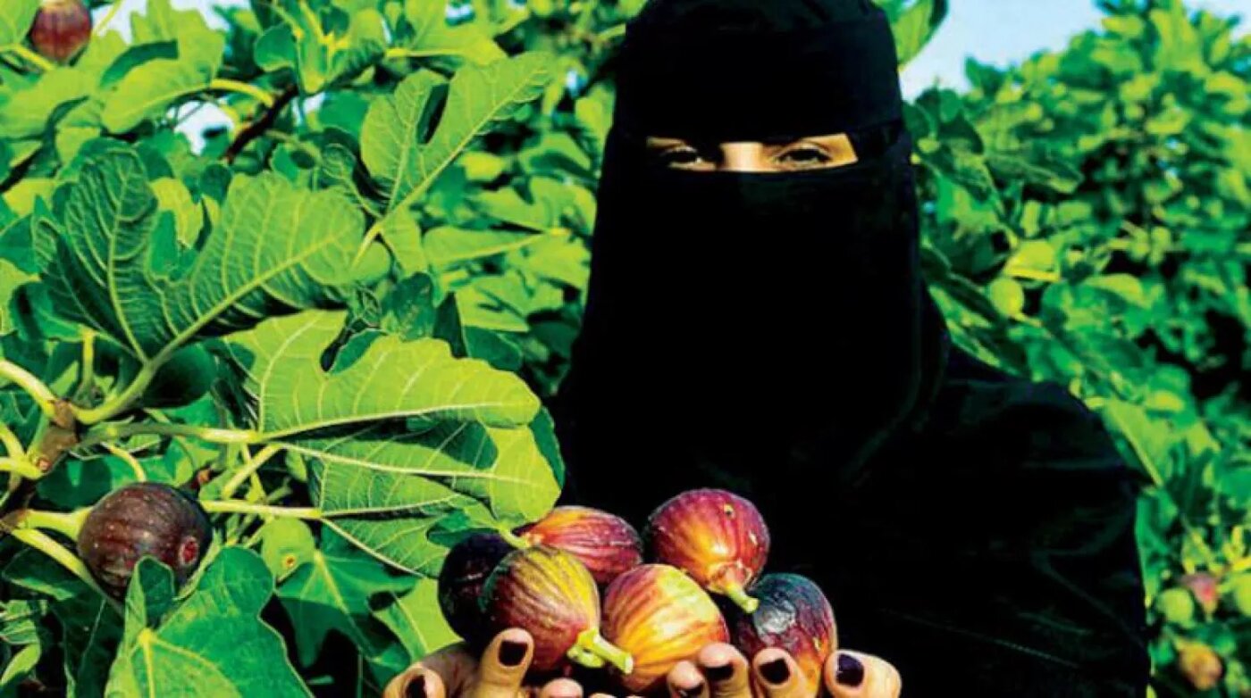 توصیه اکونومیست به امارات: از کشاورزان ایرانی خرید نکن!