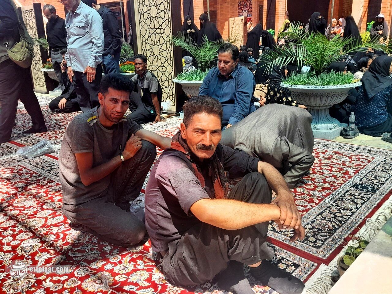 راهی پر از عشق و ایمان؛ زائران پیاده در مسیر حرم امام رضا(ع) +تصاویر