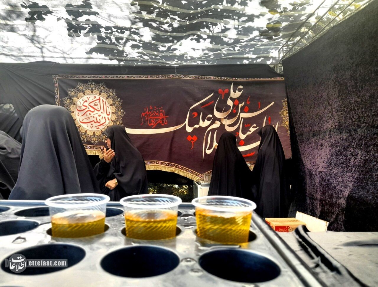 راهی پر از عشق و ایمان؛ زائران پیاده در مسیر حرم امام رضا(ع) +تصاویر