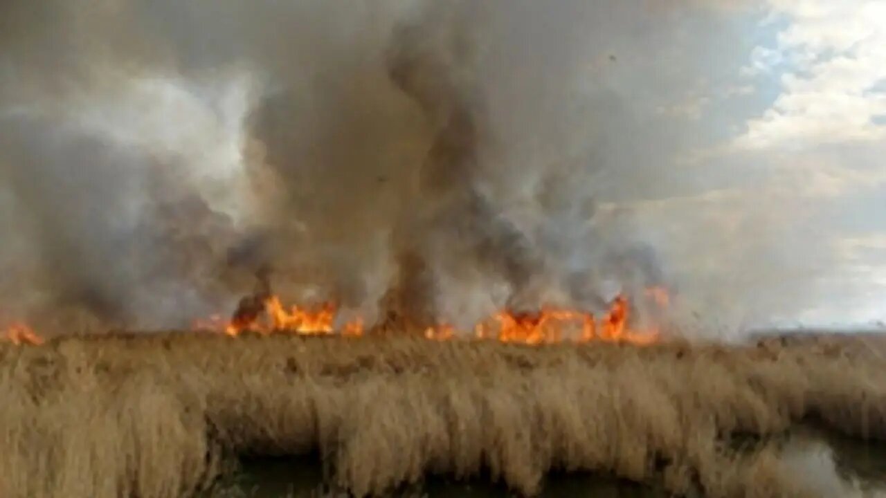 زندگی در کنار هور کابوس مردم شد؛ چشم‌ها و سینه‌ها همچنان می‌سوزد