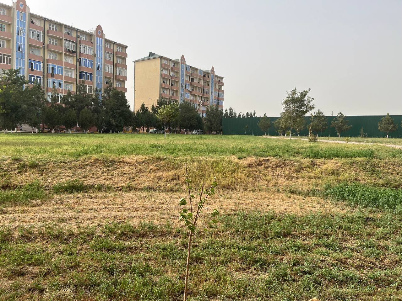 عجایب یک جام؛ فوتبال در حوالی چراگاه، سایه «بچهمدرسهای»ها بر سر کافا! +تصاویر