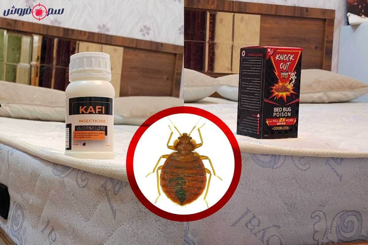 بهترین سم برای از بین بردن ساس (پیشنهاد متخصصین سم فروش)