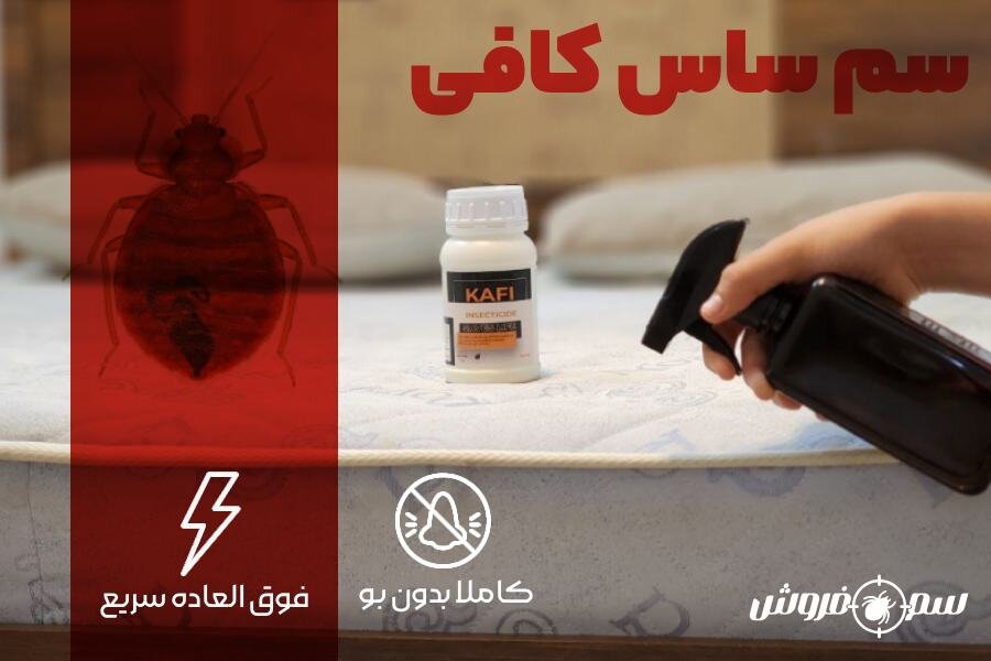 سم ساس کافی KAFI : بهترین سم ساس دیجی کالا