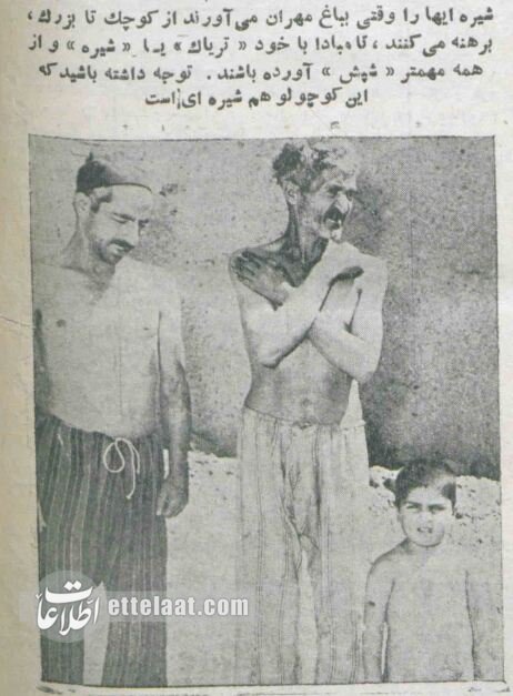 میزان مصرف تریاک در تهران ۱۳۳۴ +تصاویر شیرهکشخانههای پایتخت