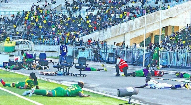 زنبورها بازی فوتبال را به هم زدند +ویدیو