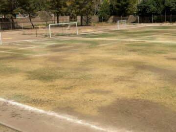 دردسر گرانی زمین چمن برای اهالی ورزش تربت جام!