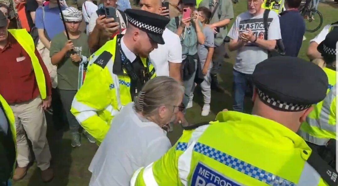 بازداشت پیرزن معترض حامی فلسطین در انگلیس +ویدیو