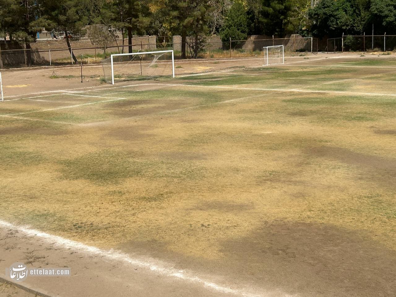 دردسر گرانی زمین چمن برای اهالی ورزش تربت جام!