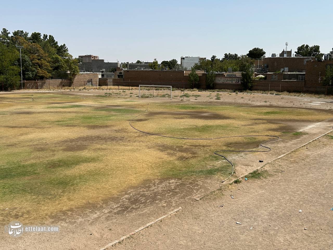 دردسر گرانی زمین چمن برای اهالی ورزش تربت جام!