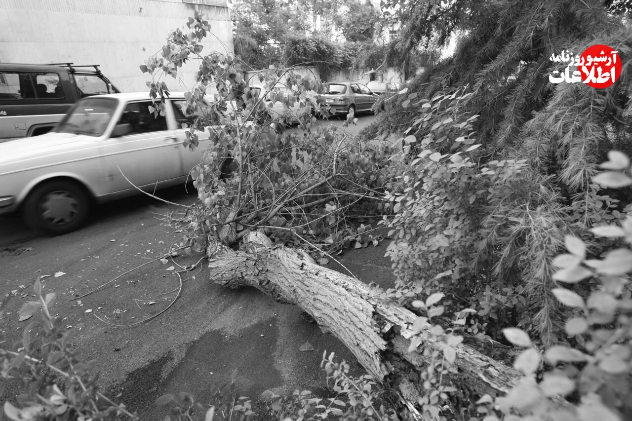 توفان شدید در تهران بازگشایی مدارس را سخت کرد! +عکس  