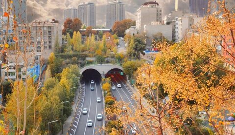 با این ۷ دمنوش به استقبال پاییز بروید!