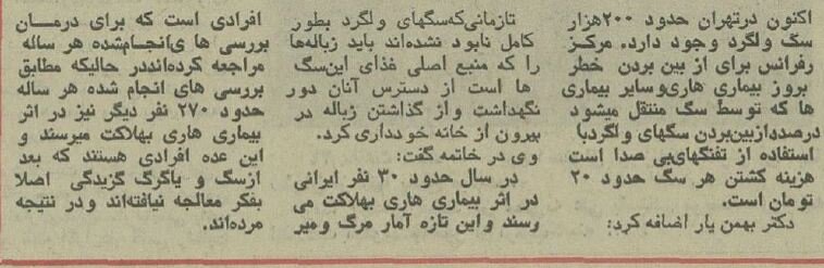 تهران در محاصره ۲۰۰۰۰۰ سگ بیصاحب! +هزینه کشتن هر سگ