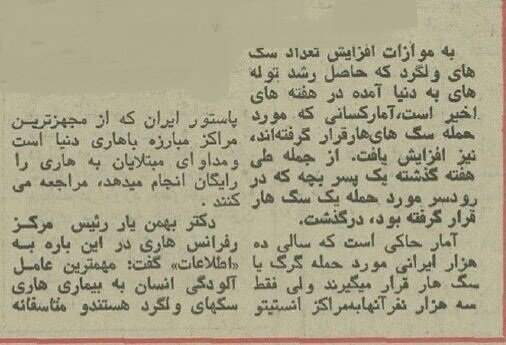 تهران در محاصره ۲۰۰۰۰۰ سگ بیصاحب! +هزینه کشتن هر سگ