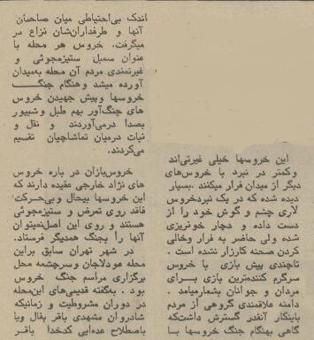 یک گزارش خواندنی از خروس بازان تهران در سال ۵۴