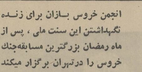 یک گزارش خواندنی از خروس بازان تهران در سال ۵۴