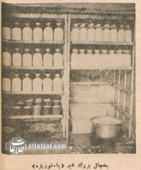 عکس‌های اولین کارخانه شیر پاستوریزه ایران در میدان فردوسی!