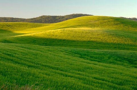 ماجرای احداث جاده اختصاصی در قلب کوهستان مُجن چه بود؟
