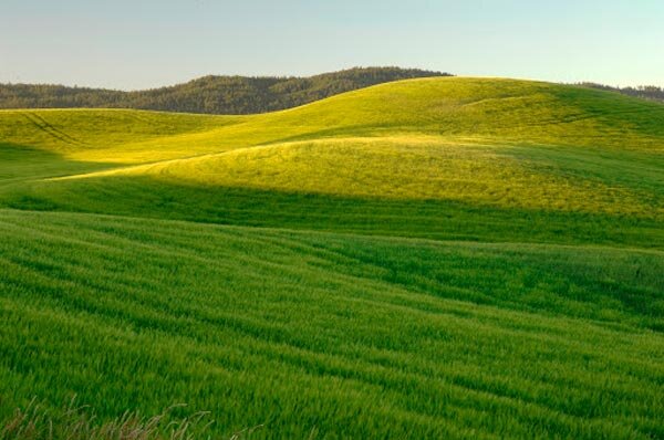 ماجرای احداث جاده اختصاصی در قلب کوهستان مُجن چه بود؟