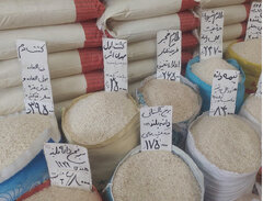 برنج ایرانی را حمایت کنید