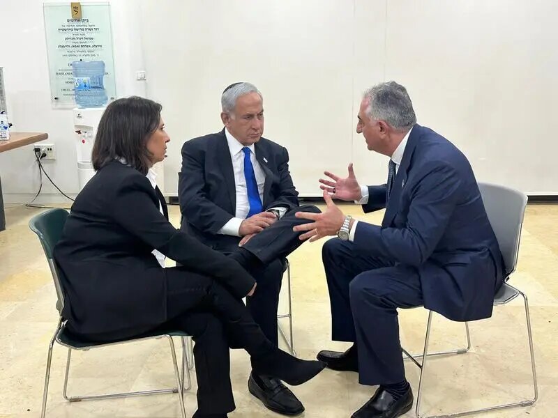 پشت‌پرده هشتگ «کینگ رضا پهلوی» افشا شد +ویدیو