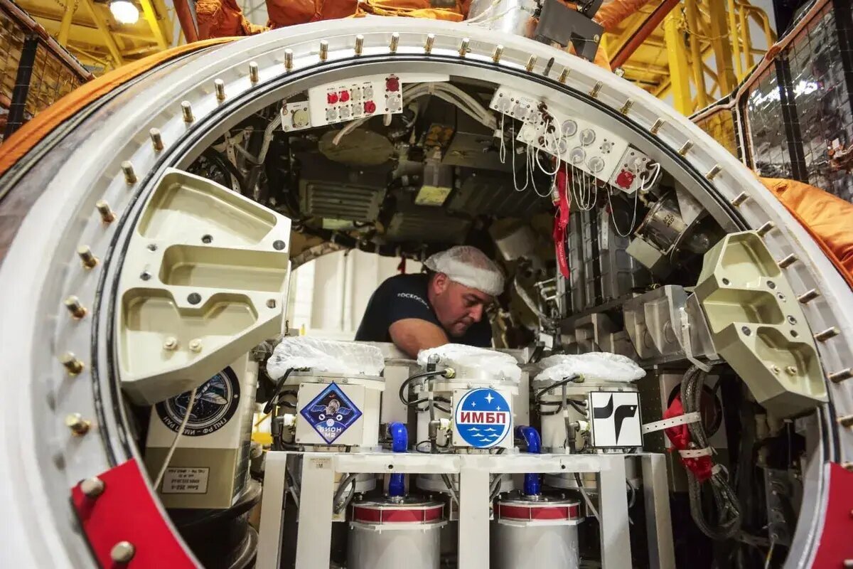 نمونههای برگردانده شده به زمین