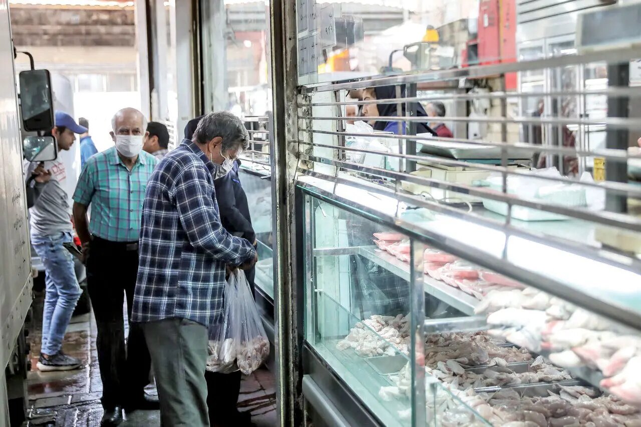 افزایش قیمت گوشت