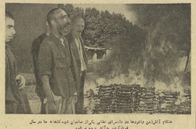 ۱۰۰۰ بافور را آتش زدند، تهران نئشه شد! +عکس