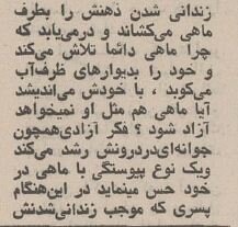اولین گفتوگوی ناصر تقوایی در سال ۱۳۵۰: فیلمهایم را نمایش دهید!