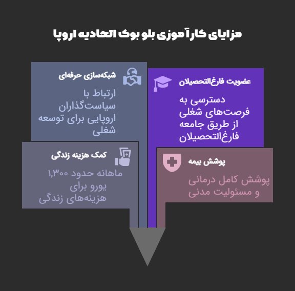 مزایای کارآموزی بلو بوک اتحادیه اروپا