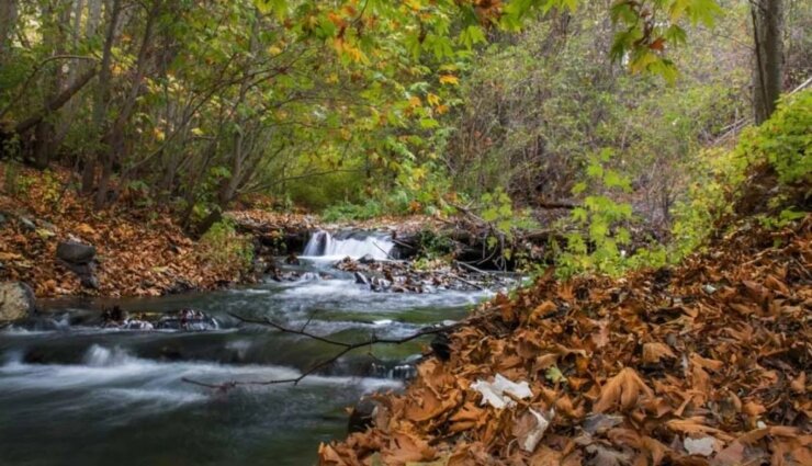 راهنمای سفر یک‌روزه از مشهد به طرقبه و شاندیز