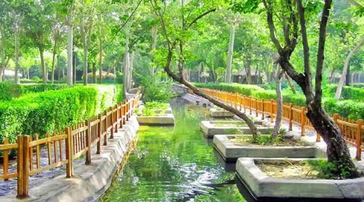 جاذبههای گردشگری شاندیز