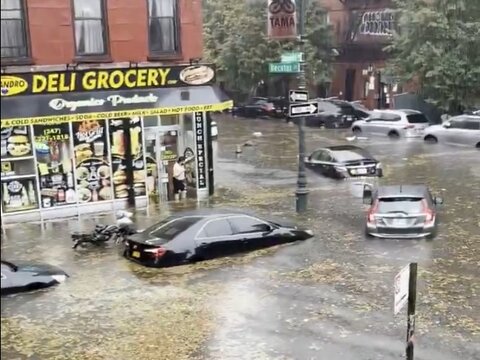 مردی که برای نجات سگش به زیرزمین رفت و غرق شد +ویدیو