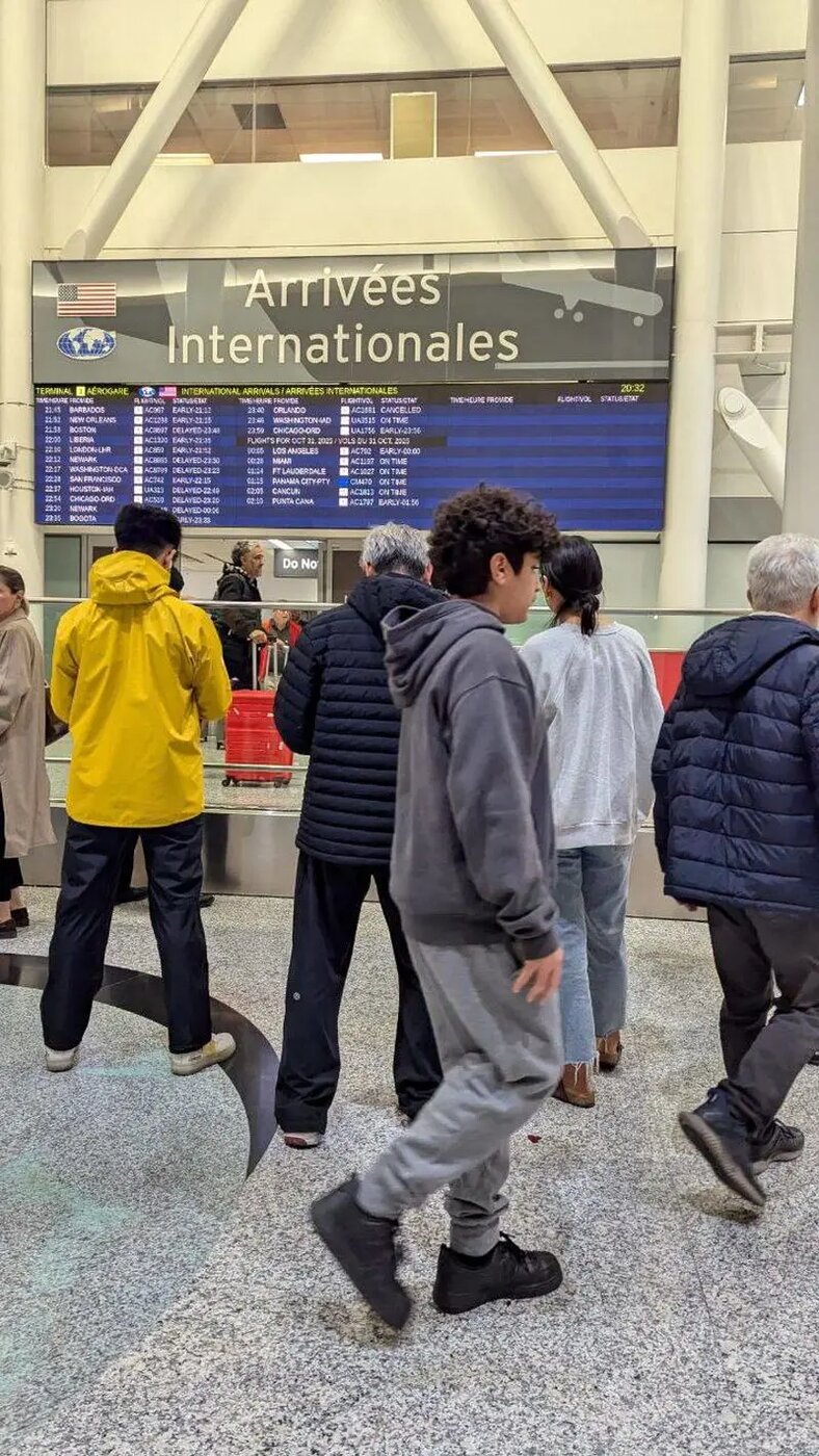 پژمان جمشیدی