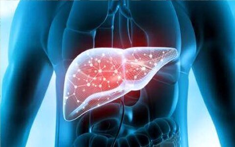 کدام مواد غذایی قاتل کبد چرب است؟