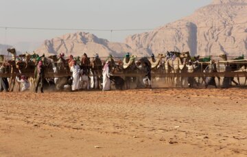 تصاویر دیدنی از شترسواری در جنوب اردن را ببینید