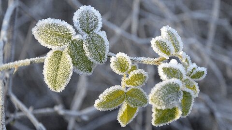 دمای زیر صفر درجه برای ۷ استان کشور در روزهای آینده +اسامی