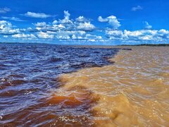 ویدیو| این جا آمازون دو رنگ می‌شود