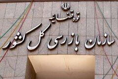 سازمان بازرسی به شرکت‌های بیمه هشدار داد +ویدیو