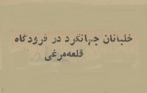 درخواست زن ایرانی از خلبان آمریکایی برای سفر دور دنیا!