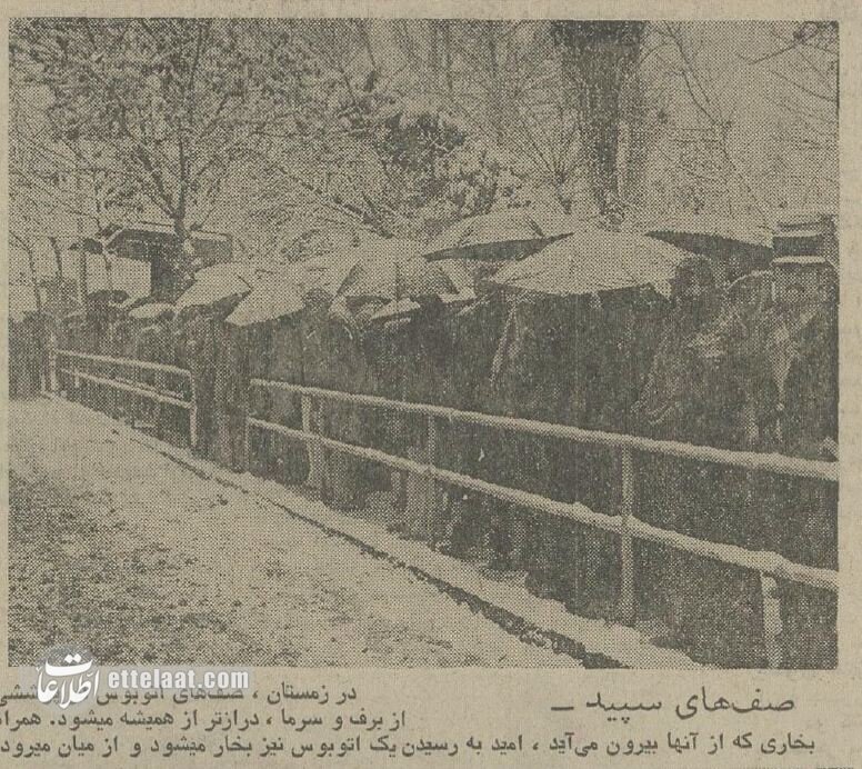 عکس‌هایی از اولین برف پاییز ۵۰ سال پیش تهران تماشا کنید