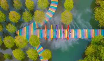 با این تصاویر در جنگل درخت آب‌های قرمز چین قدم بزنید