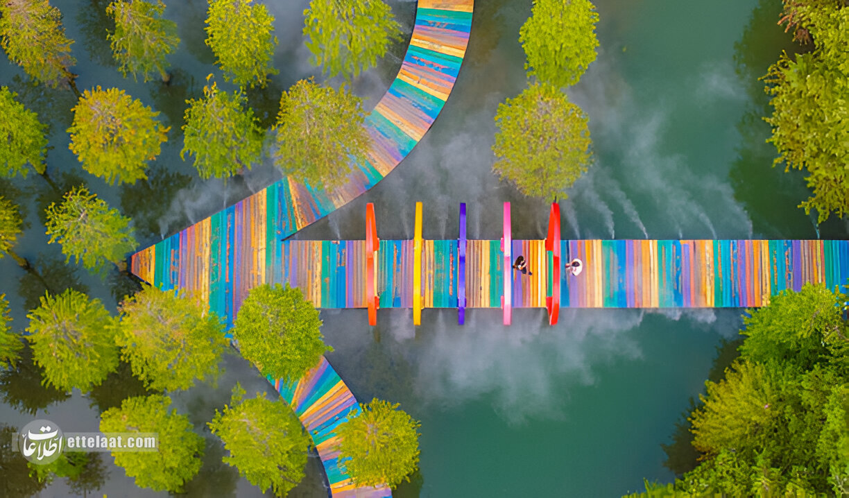 با این تصاویر در جنگل درخت آب‌های قرمز چین قدم بزنید