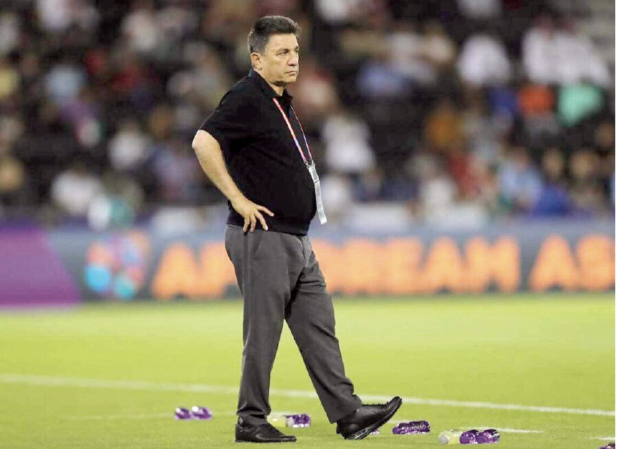 امیر قلعه نویی