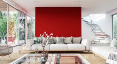 خطر این رنگ‌ها برای سیستم عصبی؛ محیط خانه را پاکسازی کنید!