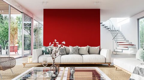 خطر این رنگ‌ها برای سیستم عصبی؛ محیط خانه را پاکسازی کنید!