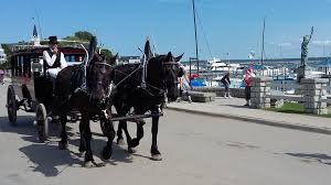 ویدیو| این جزیره با تکنولوژی غریبه است