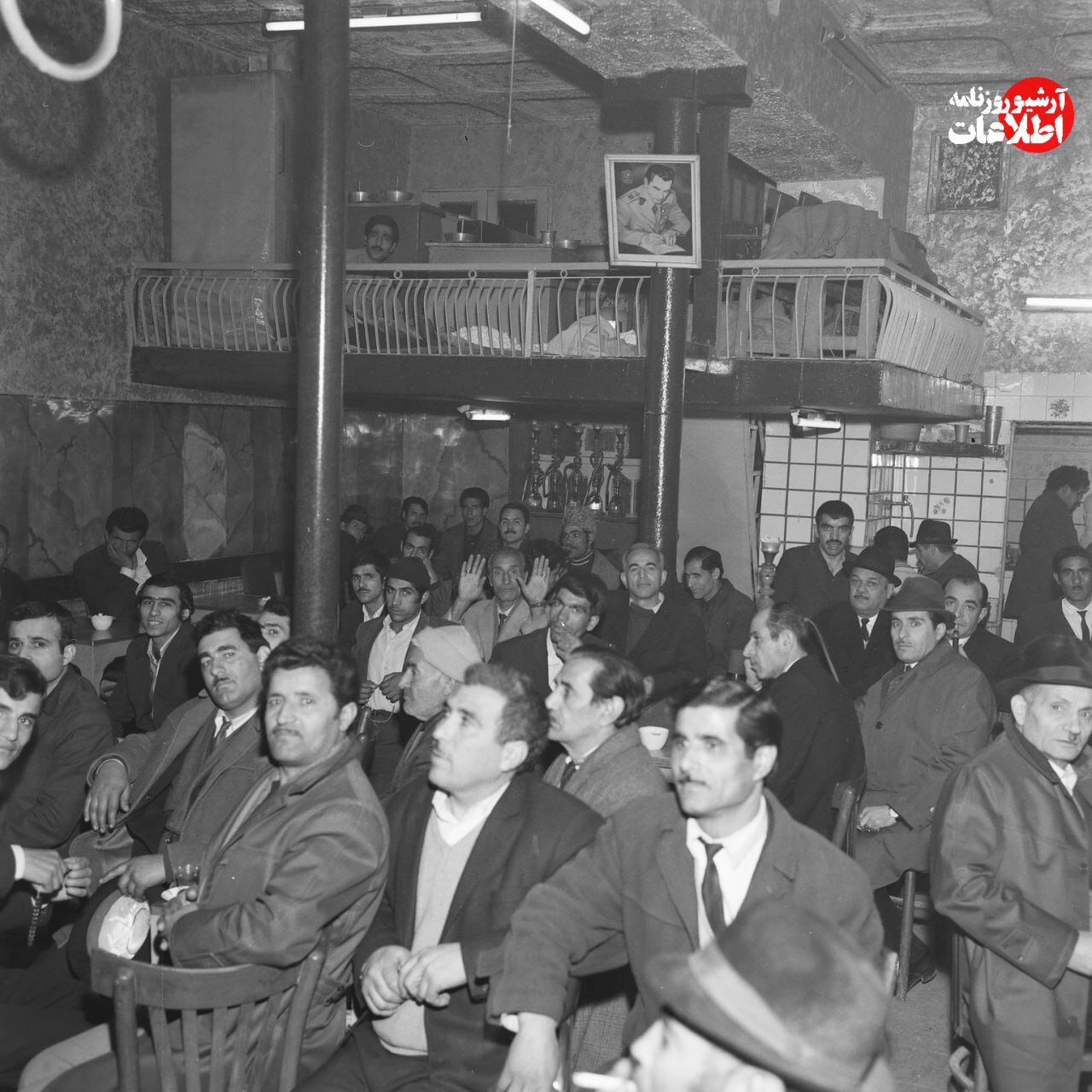 صدها نفر به خاطر مسابقه بوکس در تهران چلوکباب مجانی خوردند! +عکس