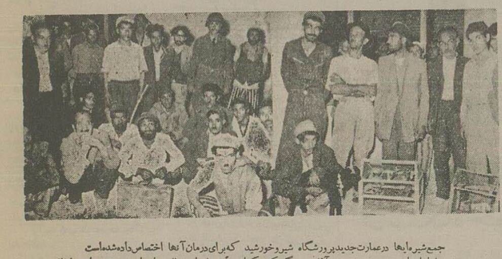 بلبل، طوطی و گوسفند را در اهواز معتاد کردند +عکس و جزئیات