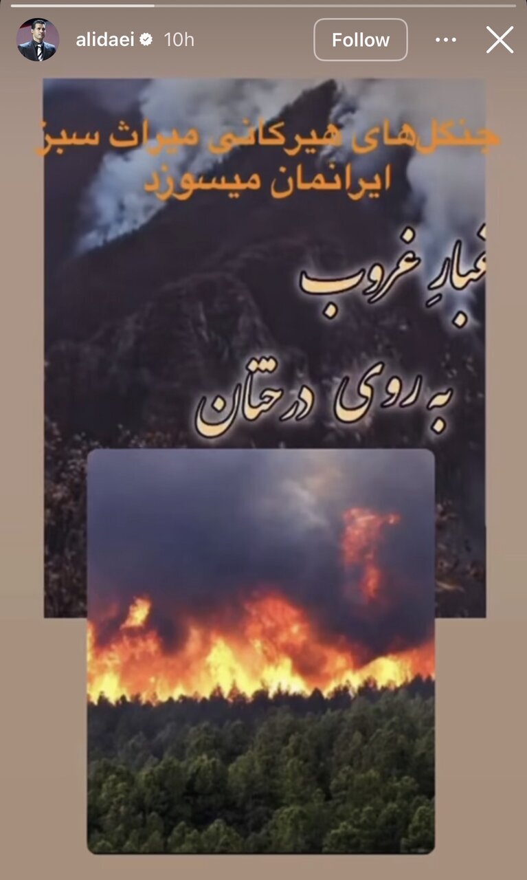 پیام علی دایی در پی ادامه آتشسوزی جنگلهای هیرکانی +عکس